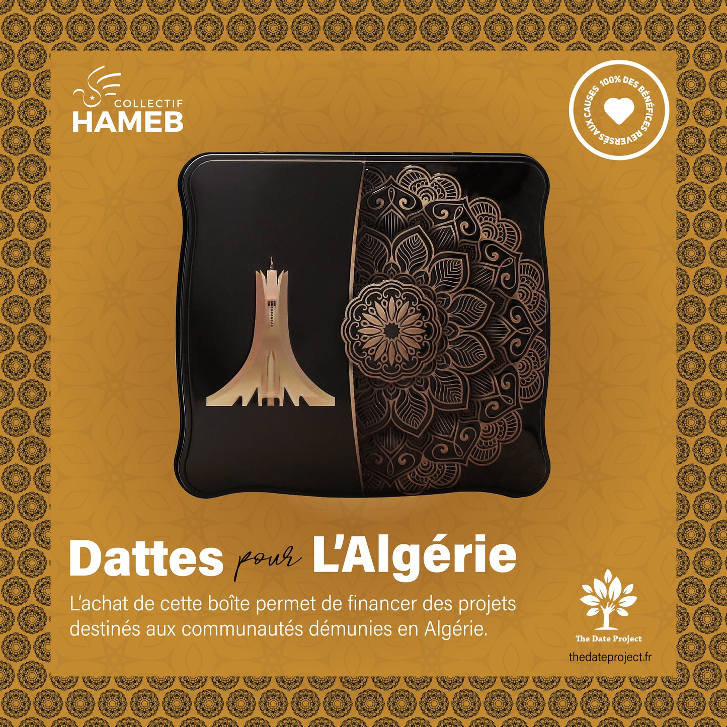 HAMEB - Collection 2025 - Dattes pour l'Algérie