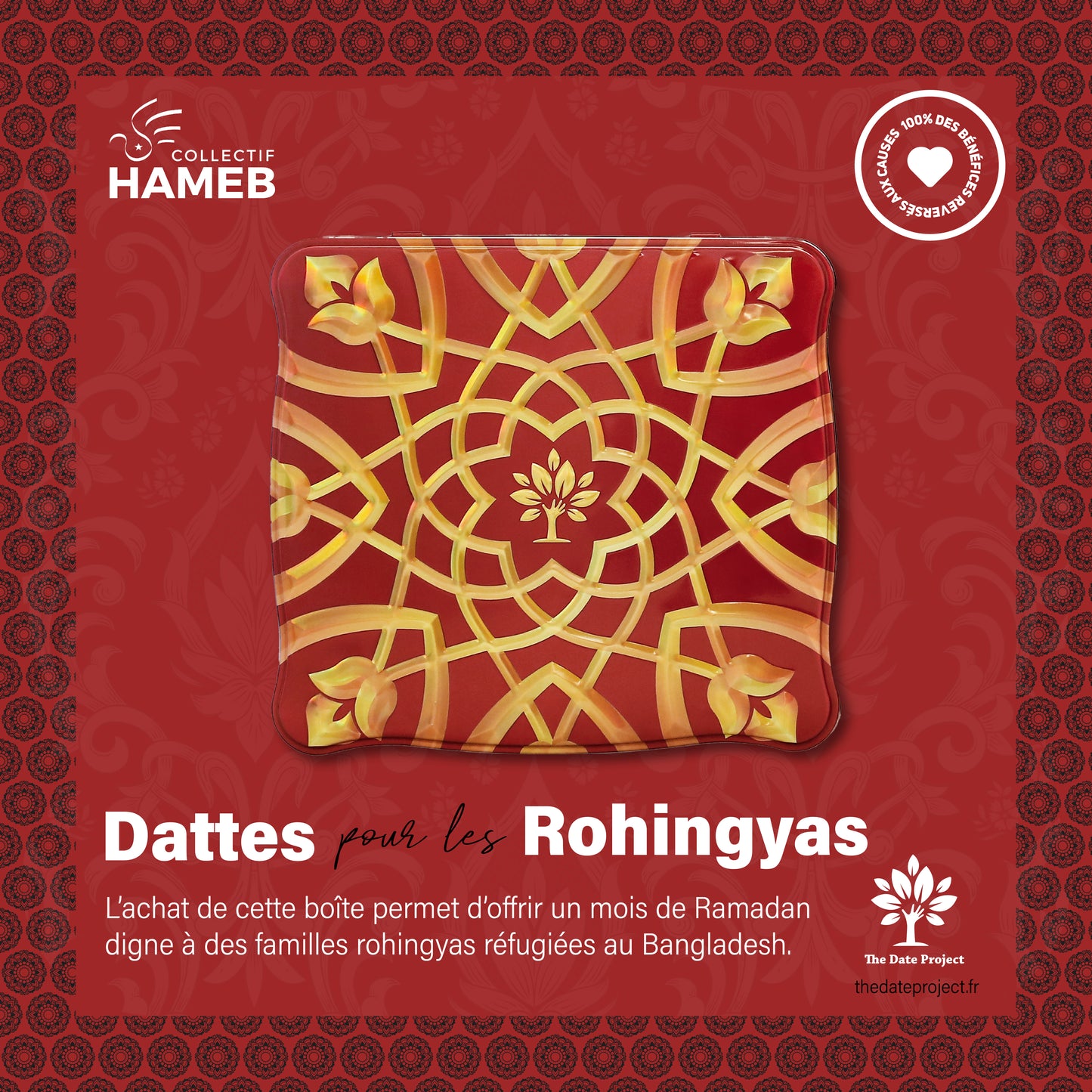 HAMEB - Collection 2025 - Dattes pour les Rohingyas